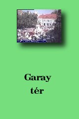 Garay ter